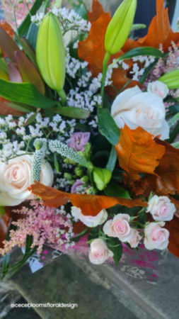 Autumnal Pinks