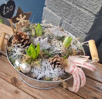 Large silver tub with white hyacinths