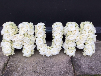 All Rose Mum Tribute