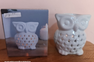 Owl Oil and Wax burner