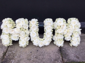 All Rose Mum Tribute