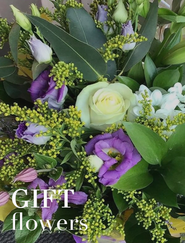 Cece Blooms